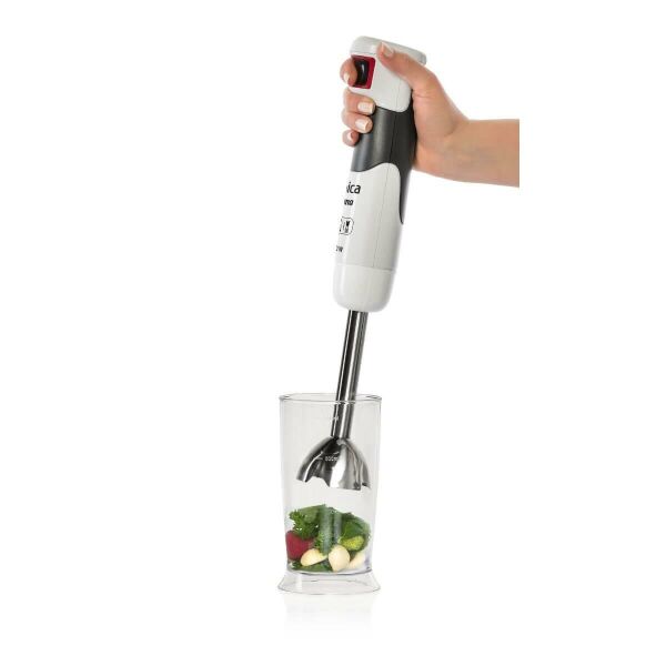 ARNİCA PANNA BLENDER